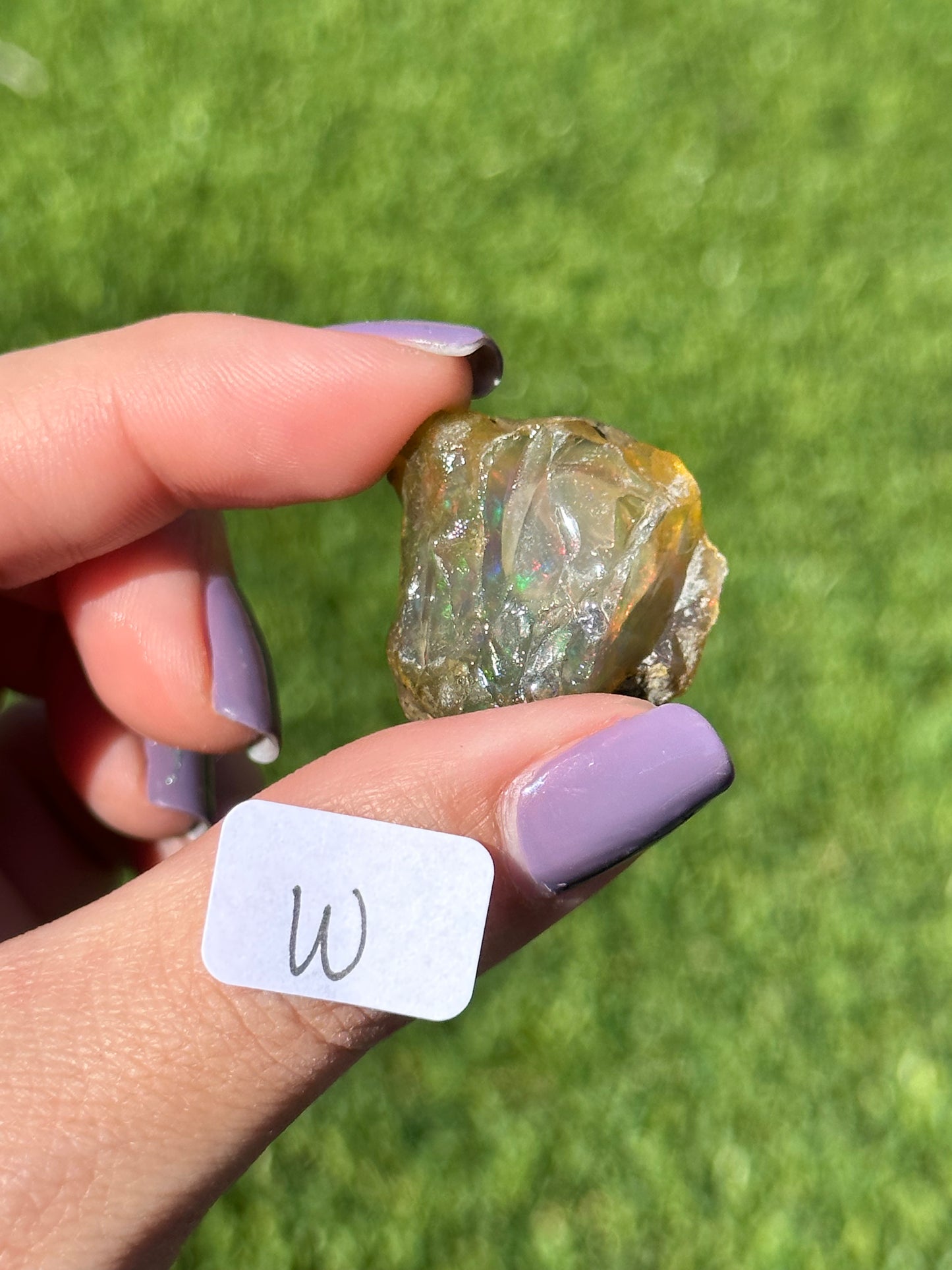 Ethiopian Water Opals