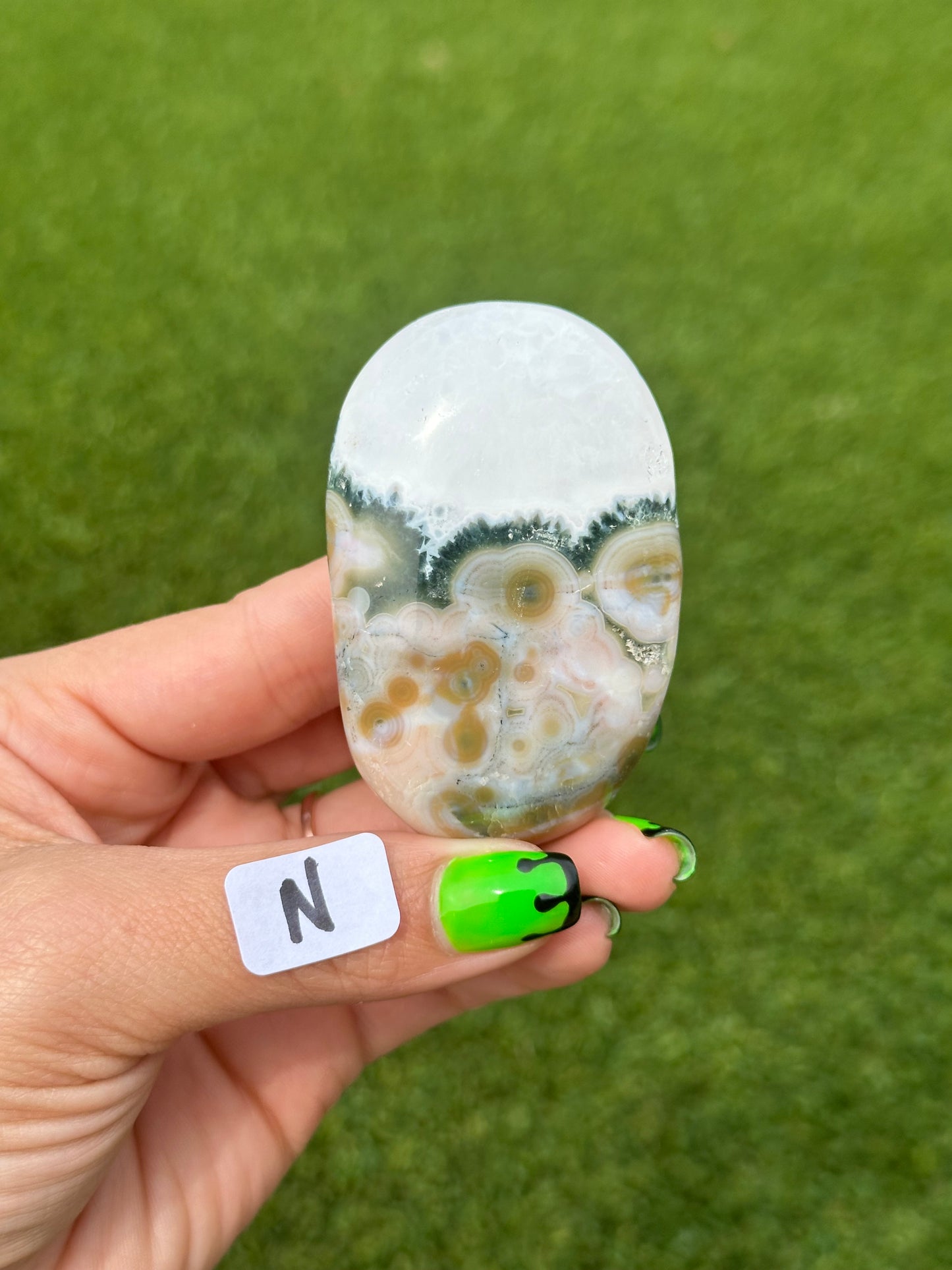 8th Vein Ocean Jasper™️ Palm Stones