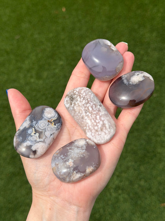 Black Flower Agate Palm Stone