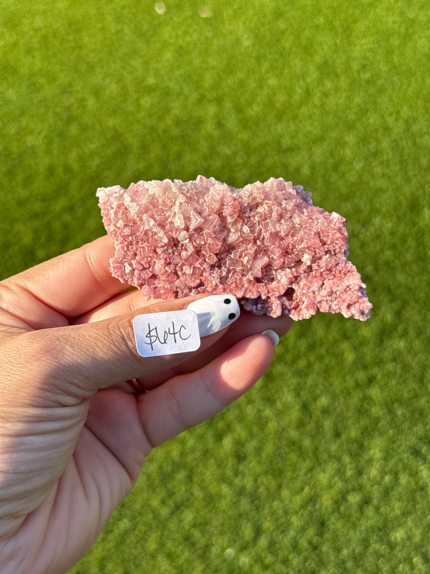 Pink Halite