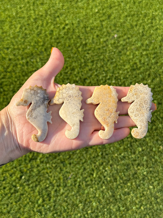 Fossilized Coral Carvings