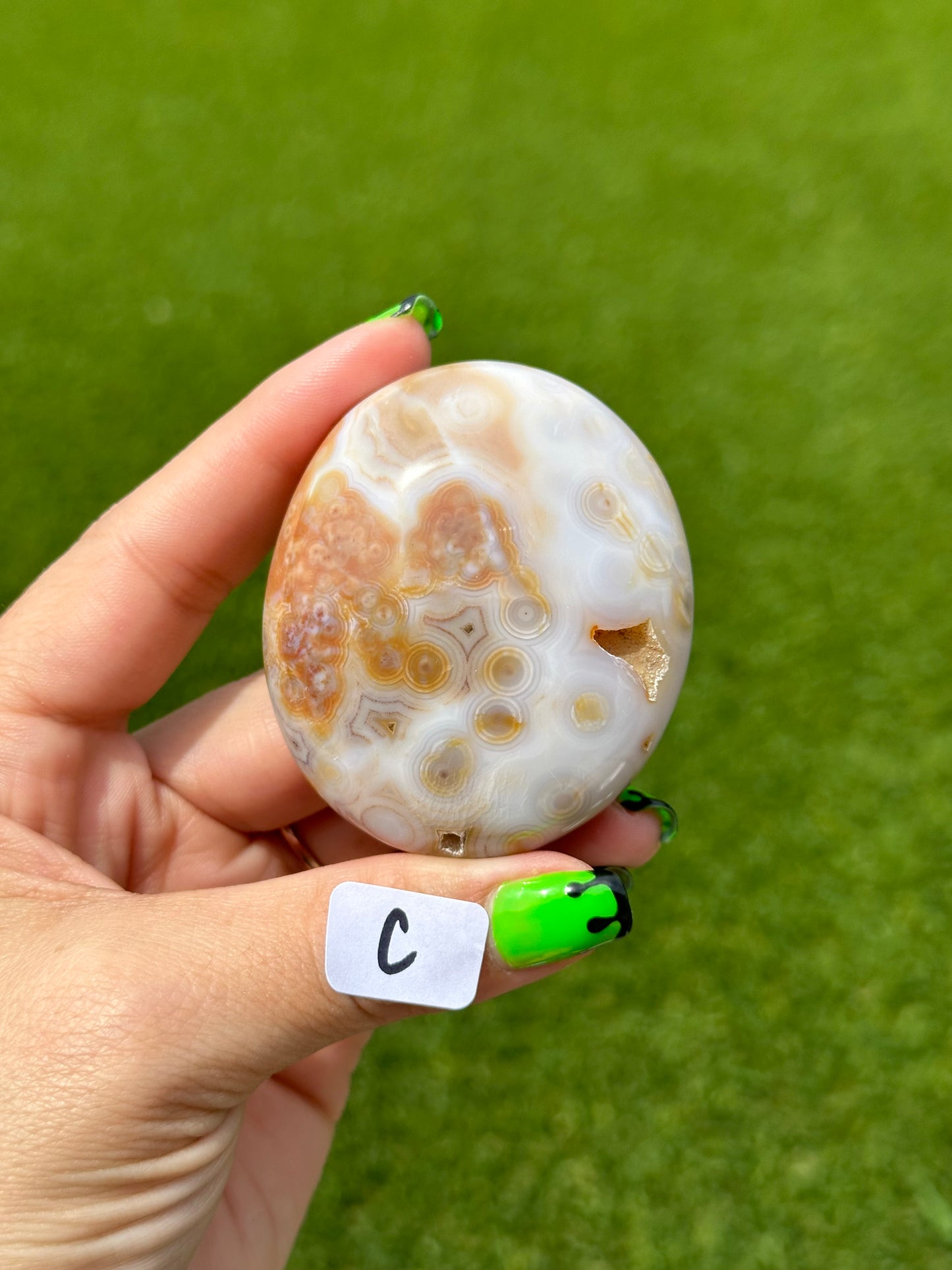 8th Vein Ocean Jasper™️ Palm Stones
