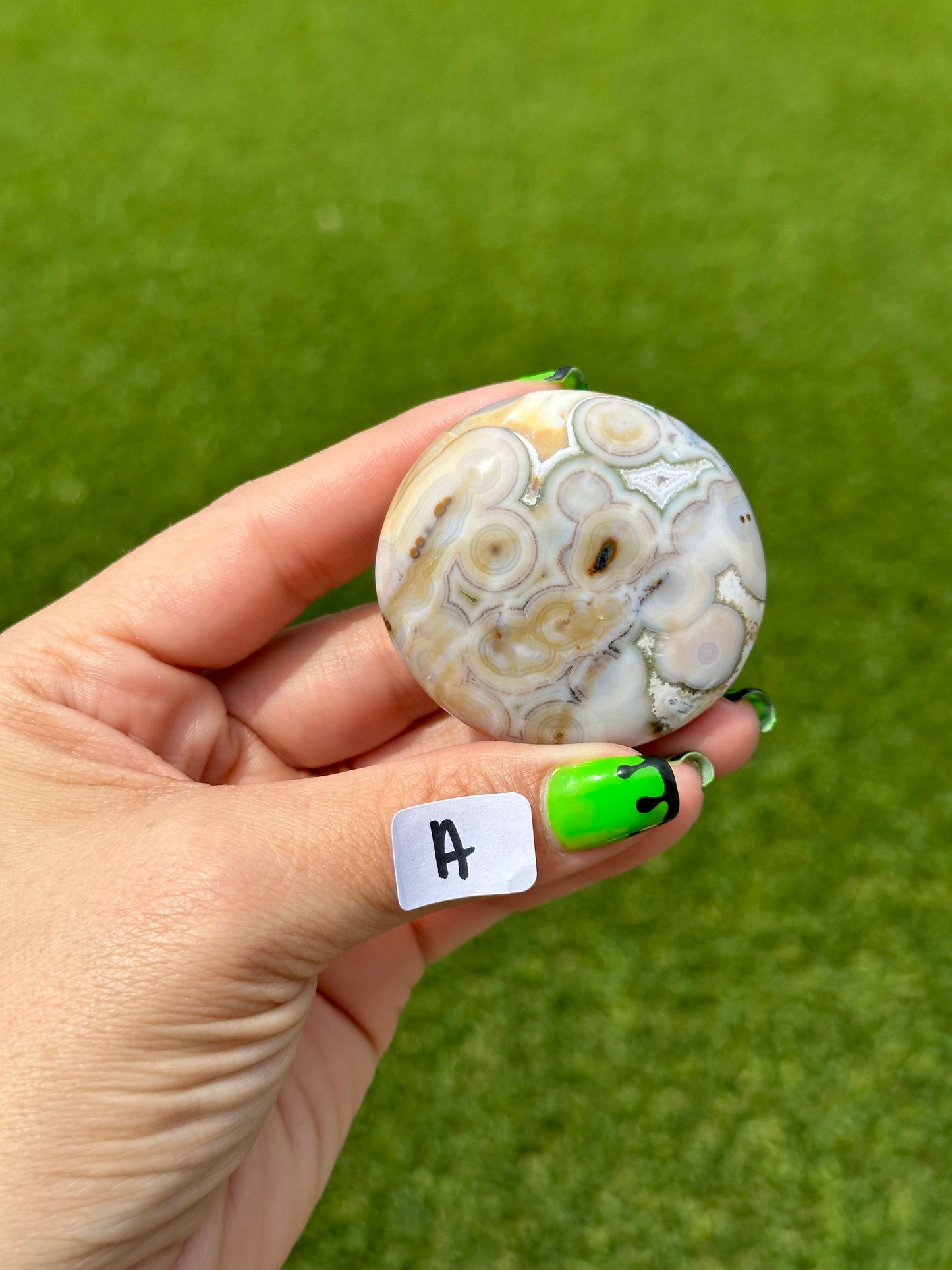 8th Vein Ocean Jasper™️ Palm Stones