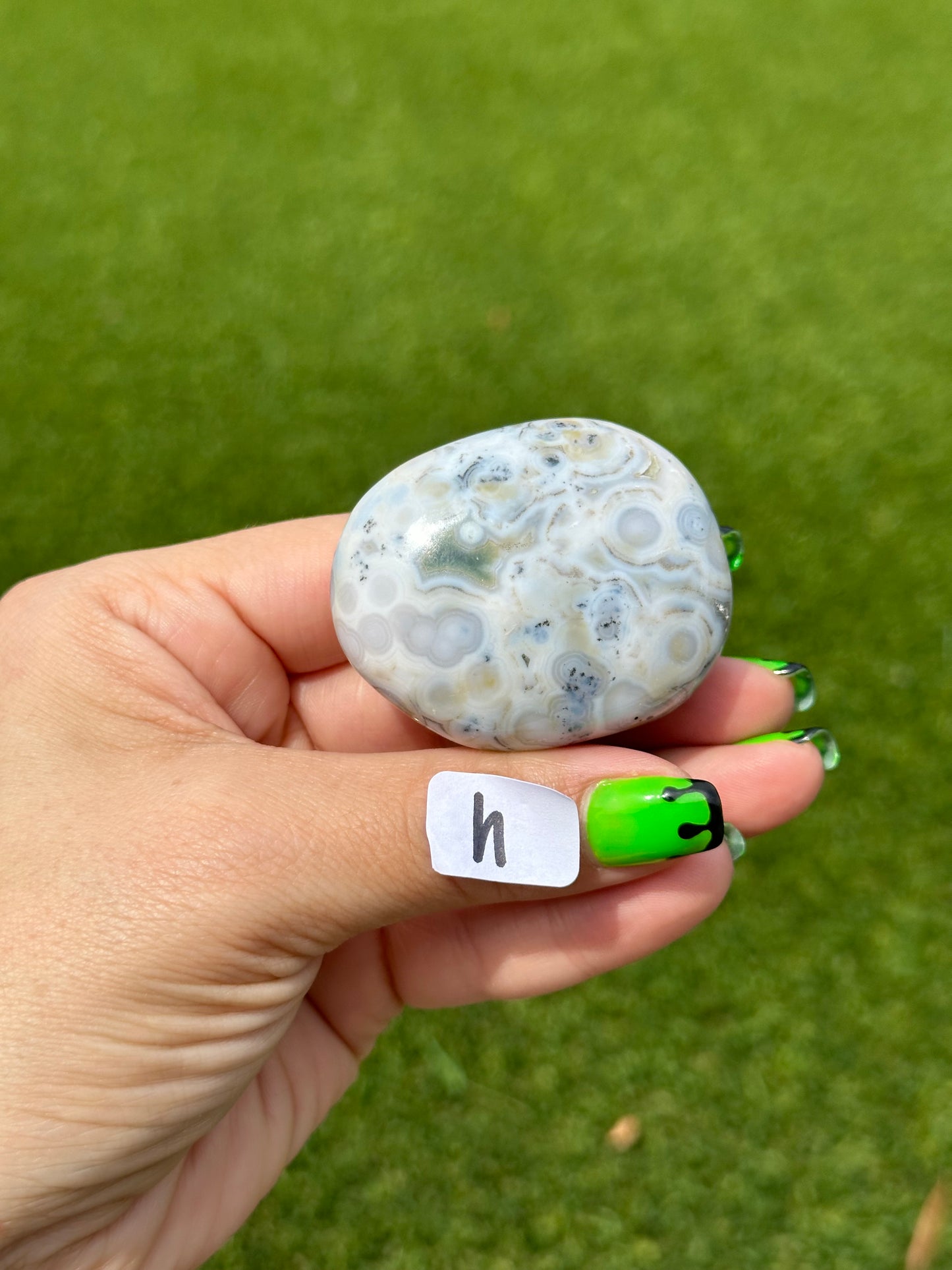 8th Vein Ocean Jasper™️ Palm Stones