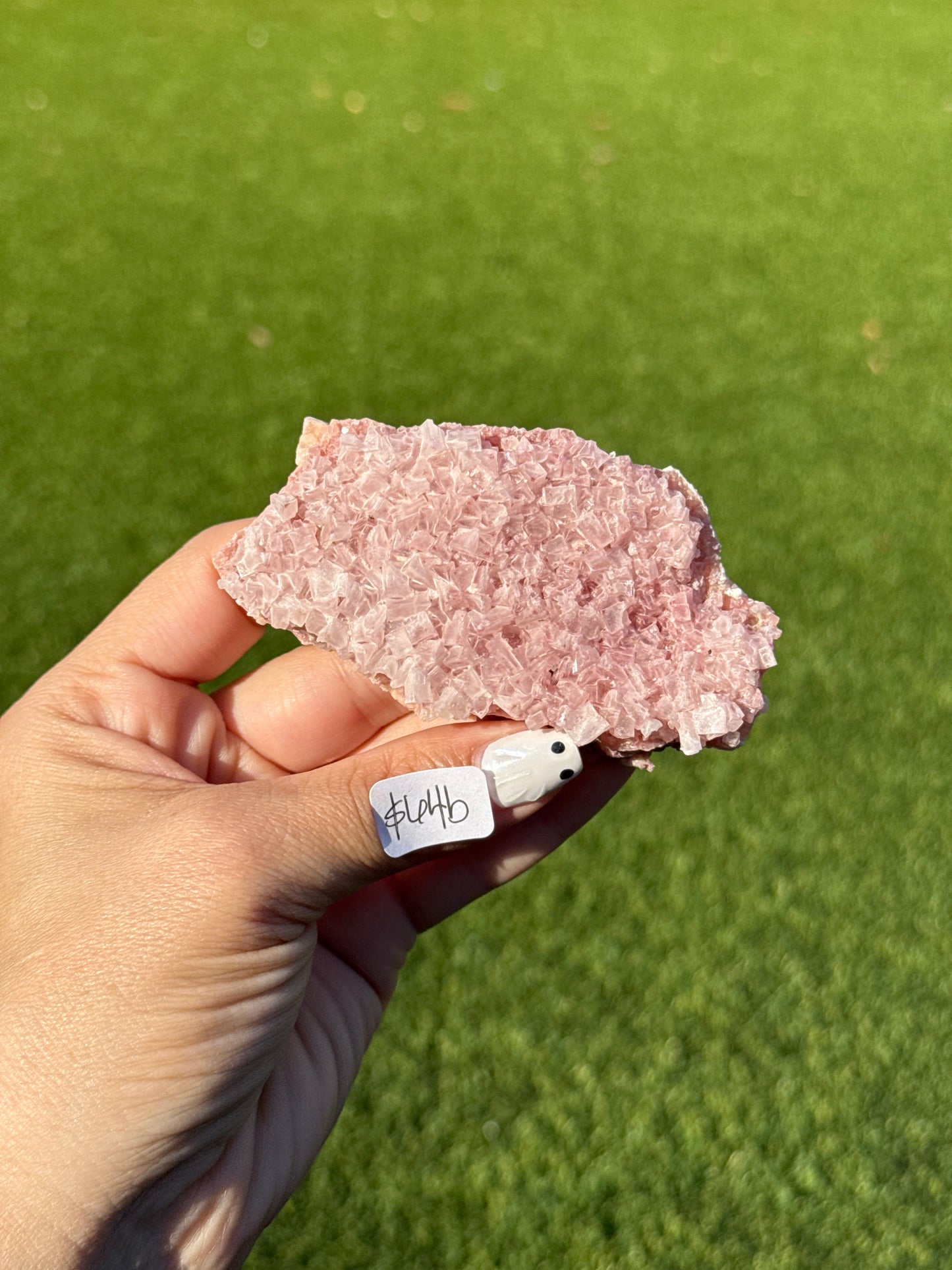 Pink Halite