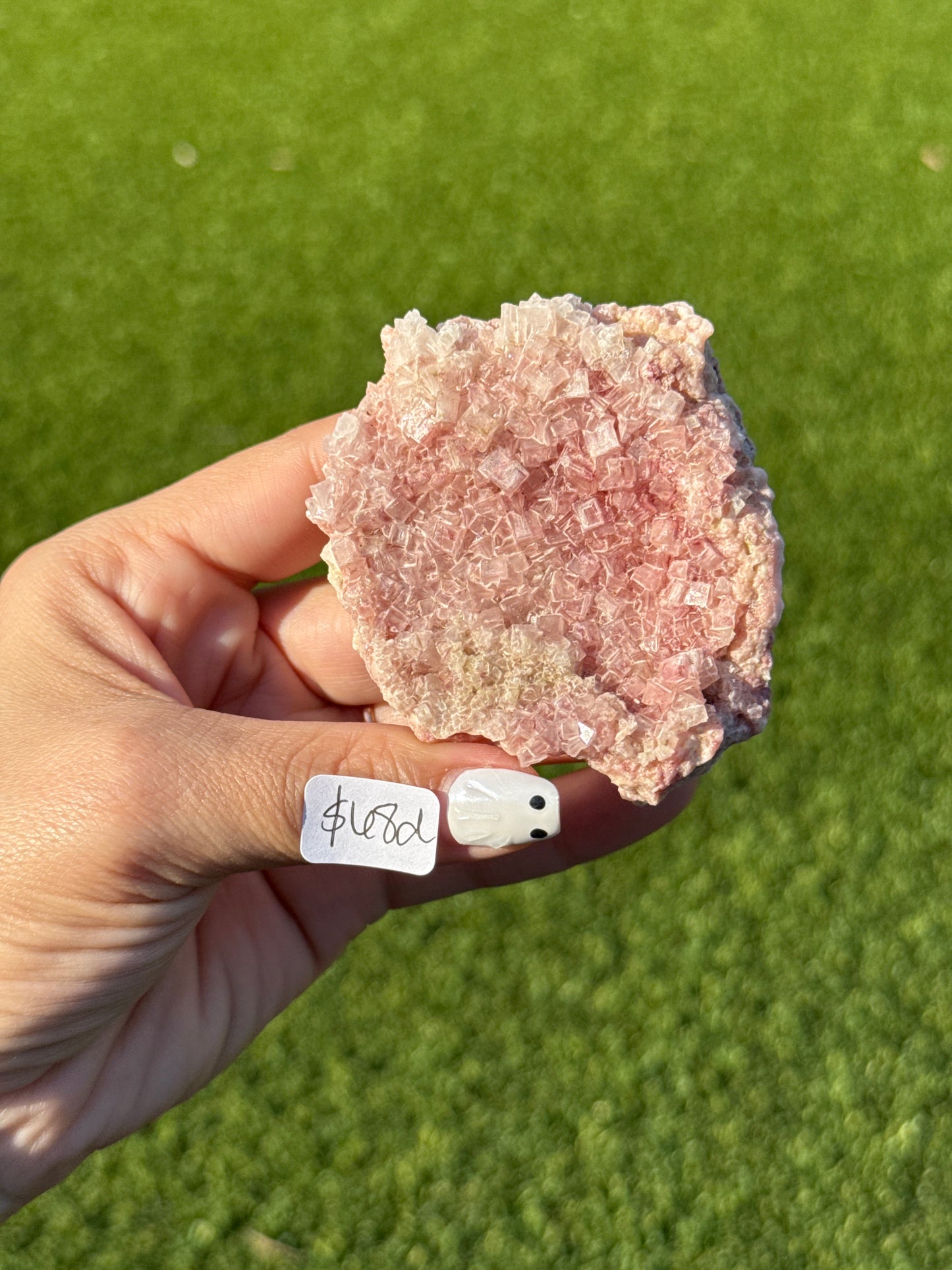Pink Halite