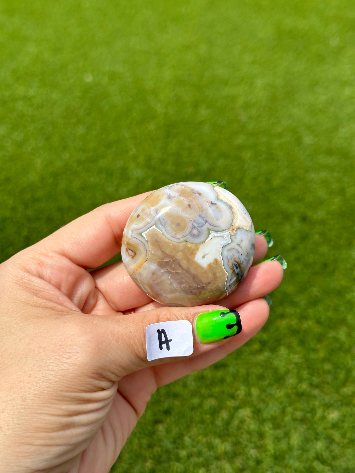 8th Vein Ocean Jasper™️ Palm Stones