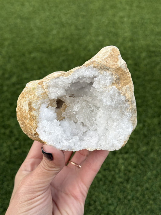 Agate Geode Halves