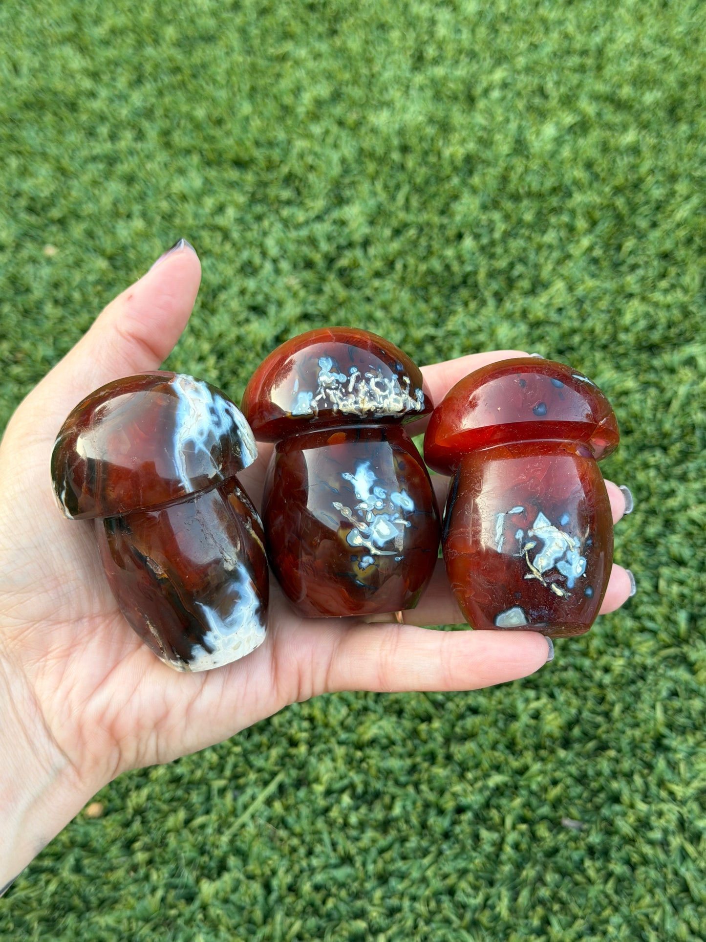 Carnelian x orca agate mushrooms
