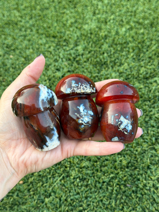 Carnelian x orca agate mushrooms