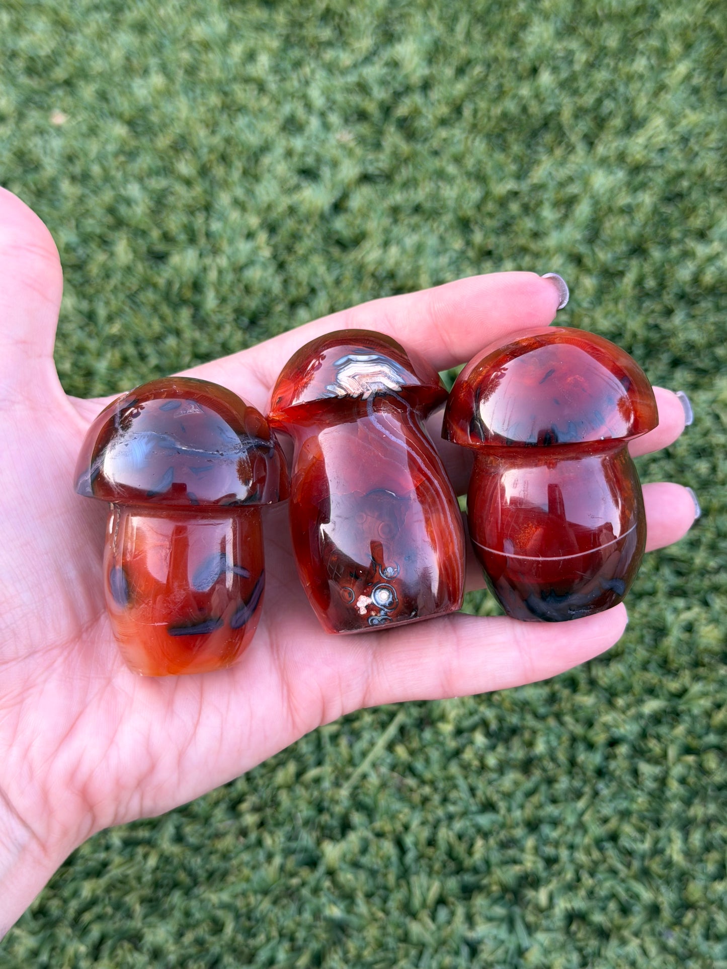 Carnelian x orca agate mushrooms