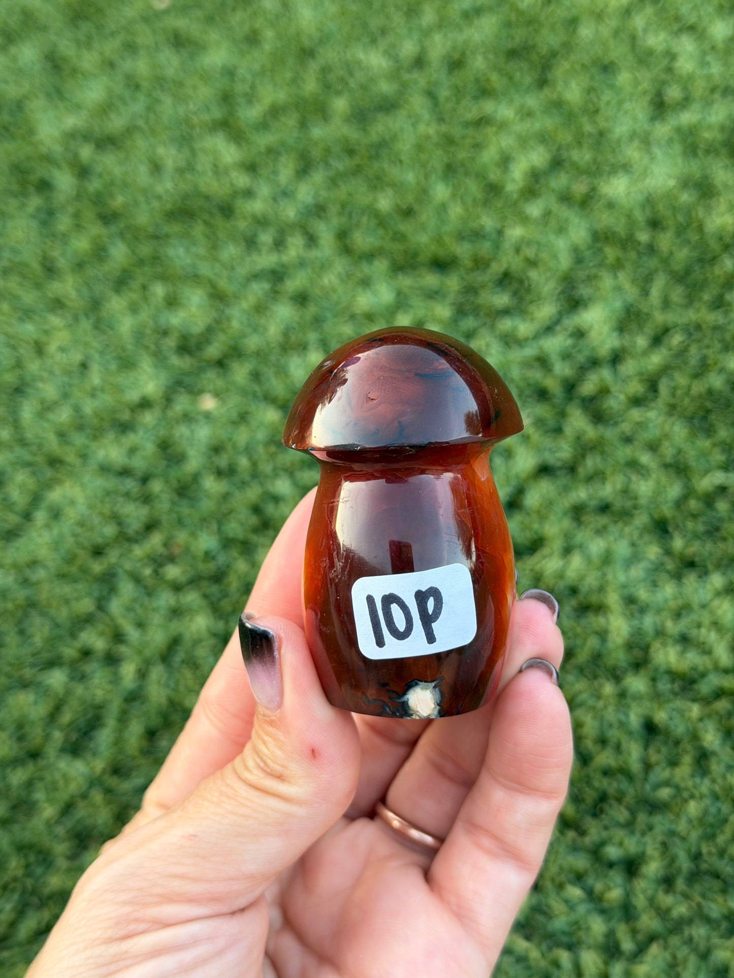 Carnelian x orca agate mushrooms