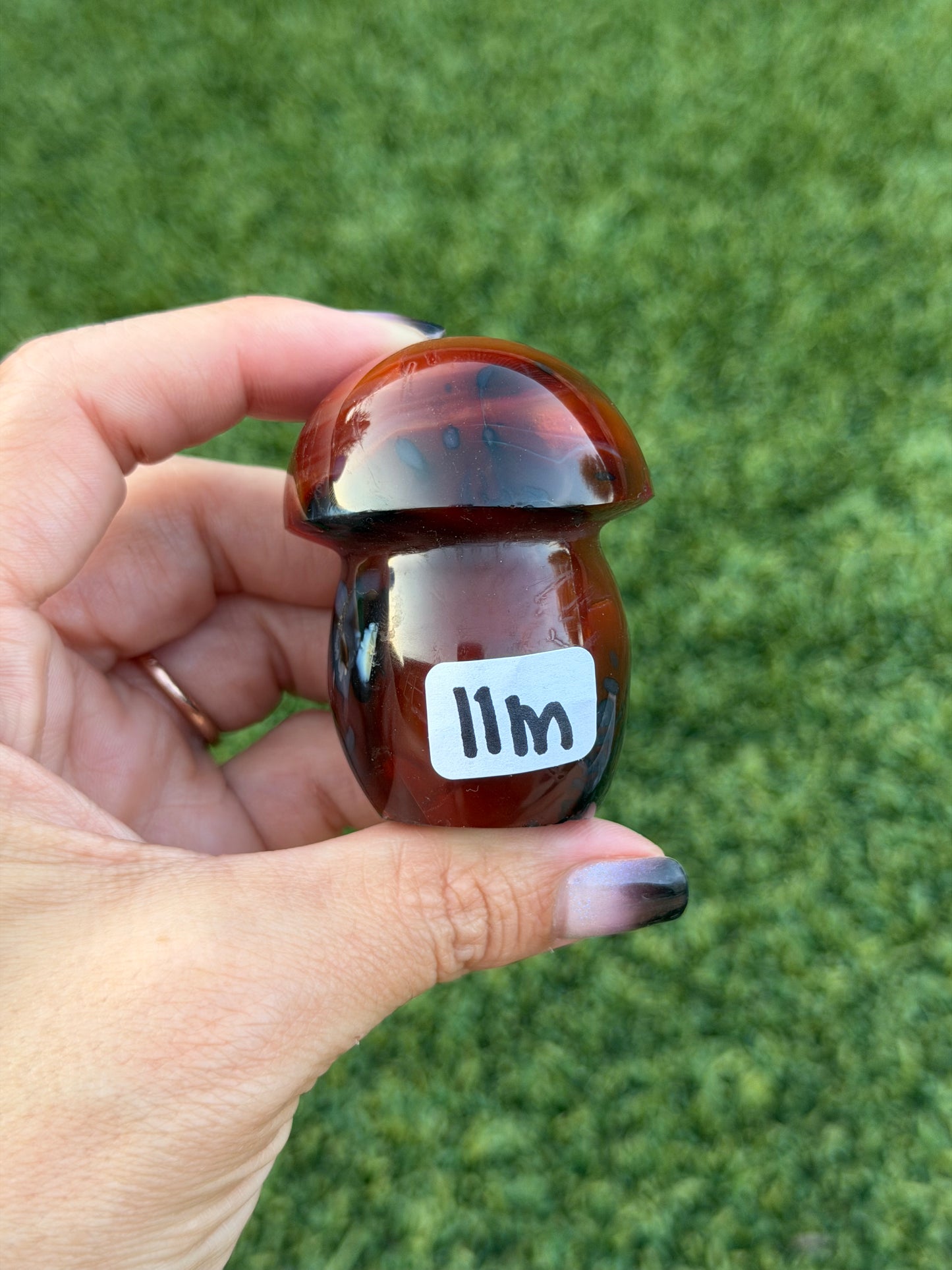 Carnelian x orca agate mushrooms