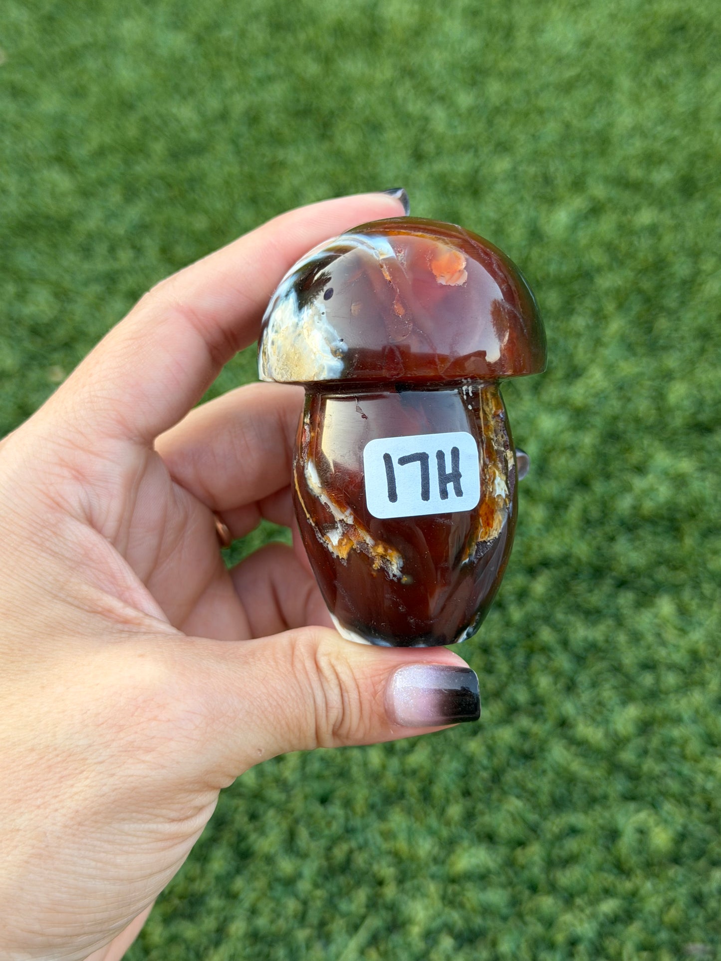 Carnelian x orca agate mushrooms