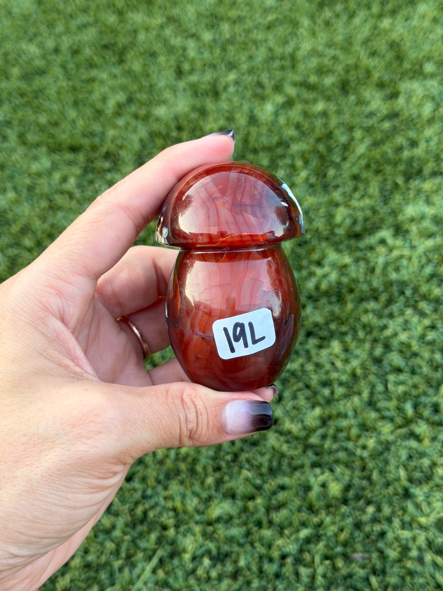 Carnelian x orca agate mushrooms
