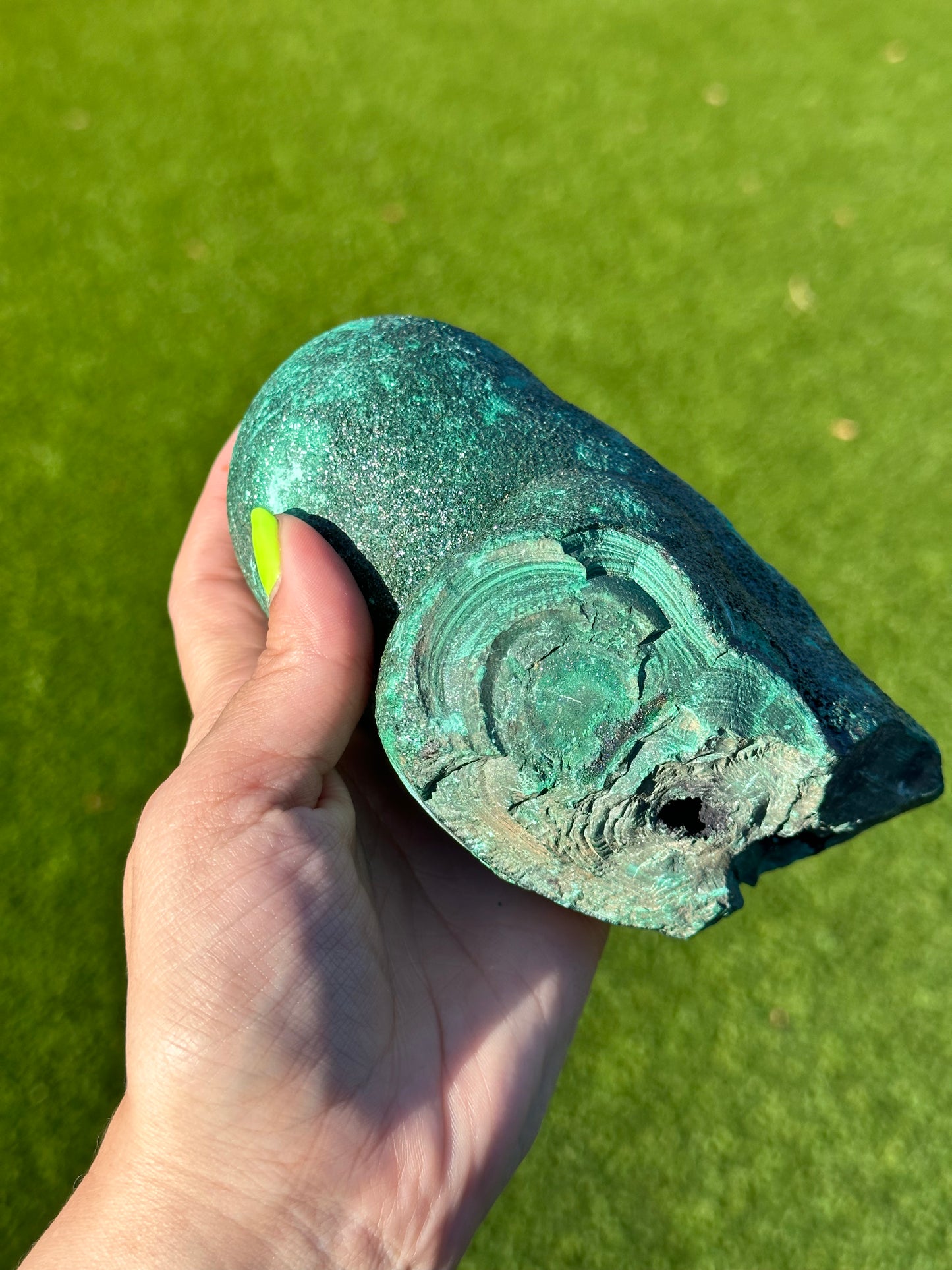 Velvet Malachite from the DRC