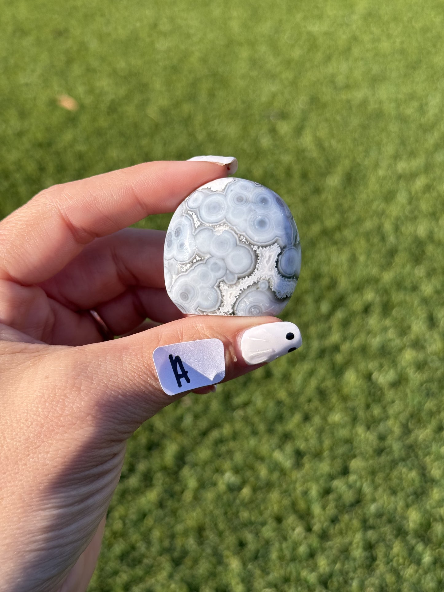 Ocean Jasper Mini Free Forms