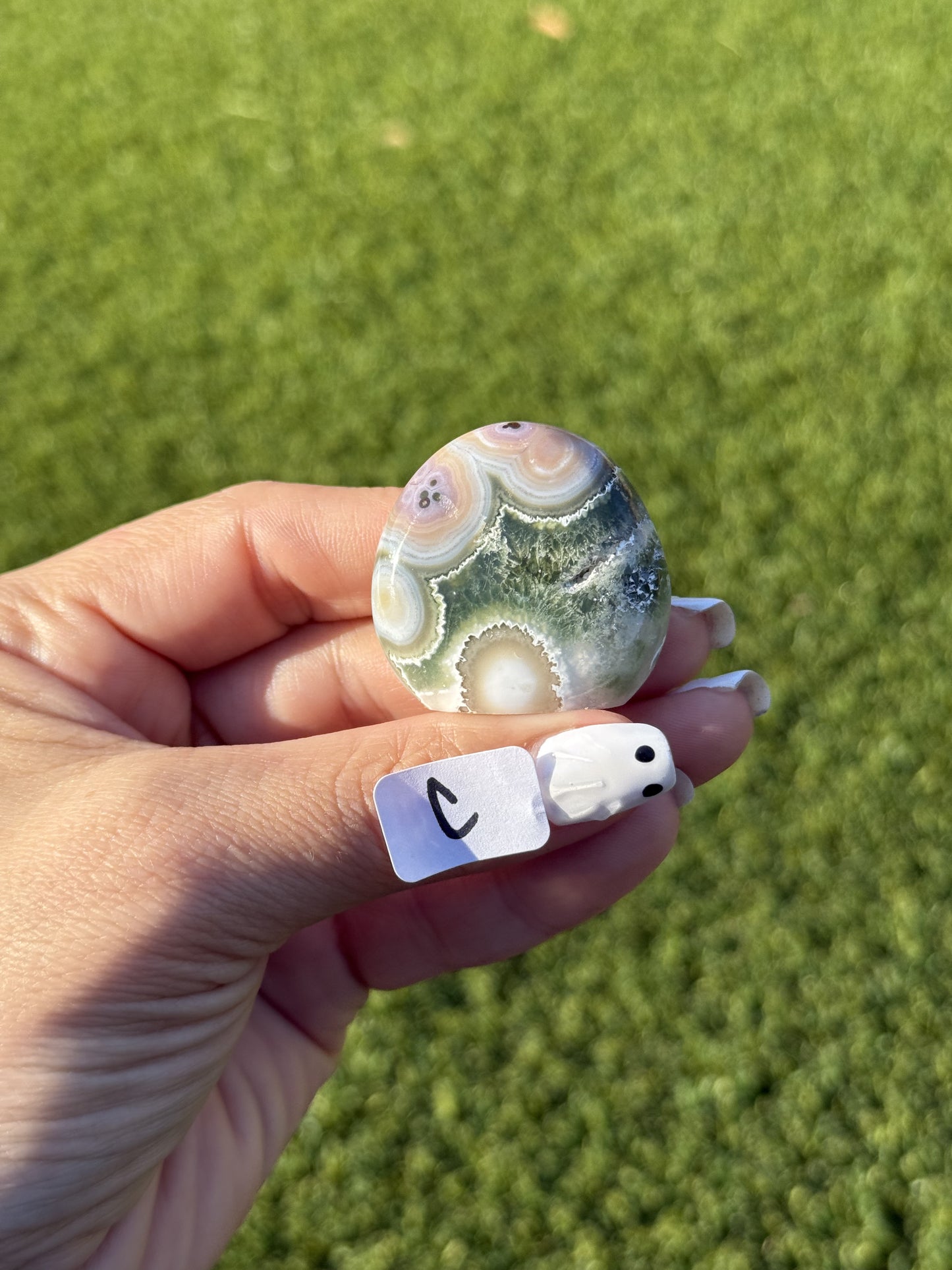 Ocean Jasper Mini Free Forms