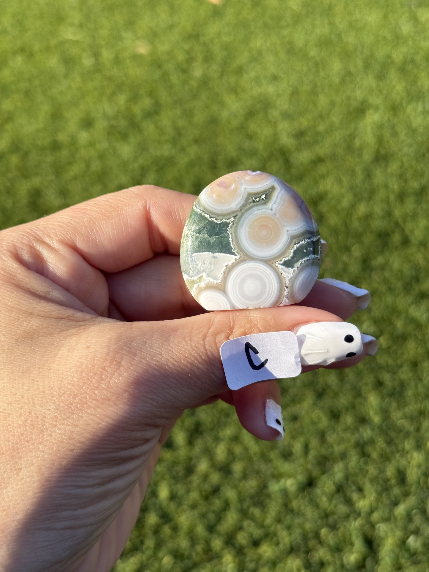 Ocean Jasper Mini Free Forms