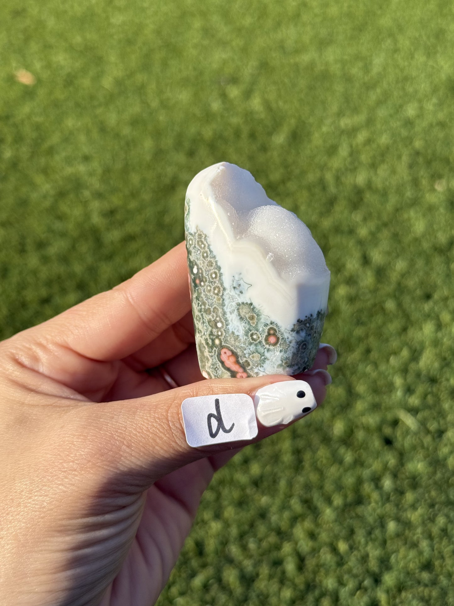 Ocean Jasper Mini Free Forms