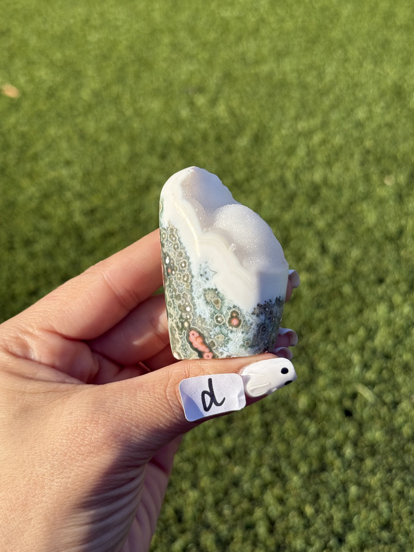 Ocean Jasper Mini Free Forms