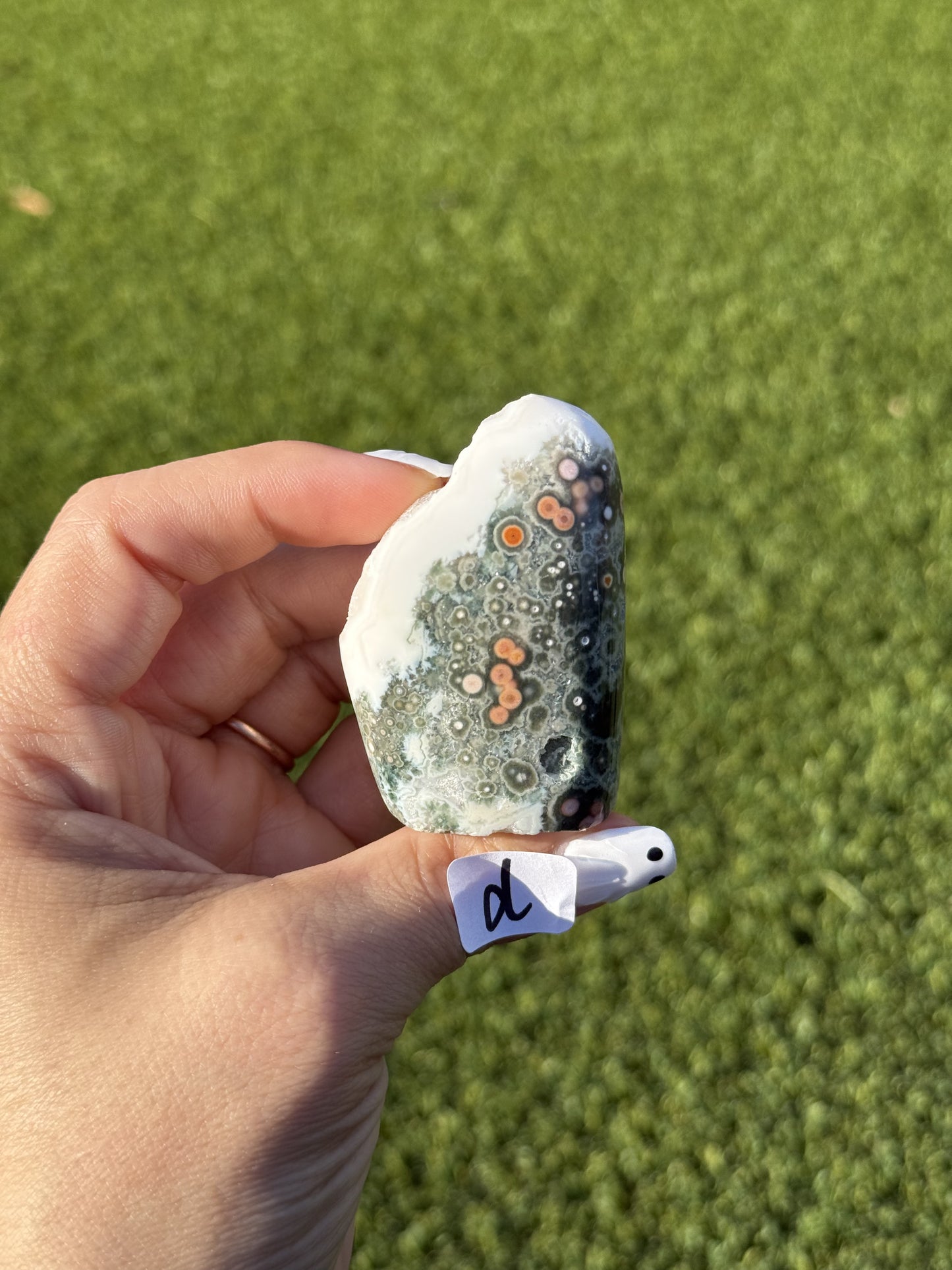 Ocean Jasper Mini Free Forms