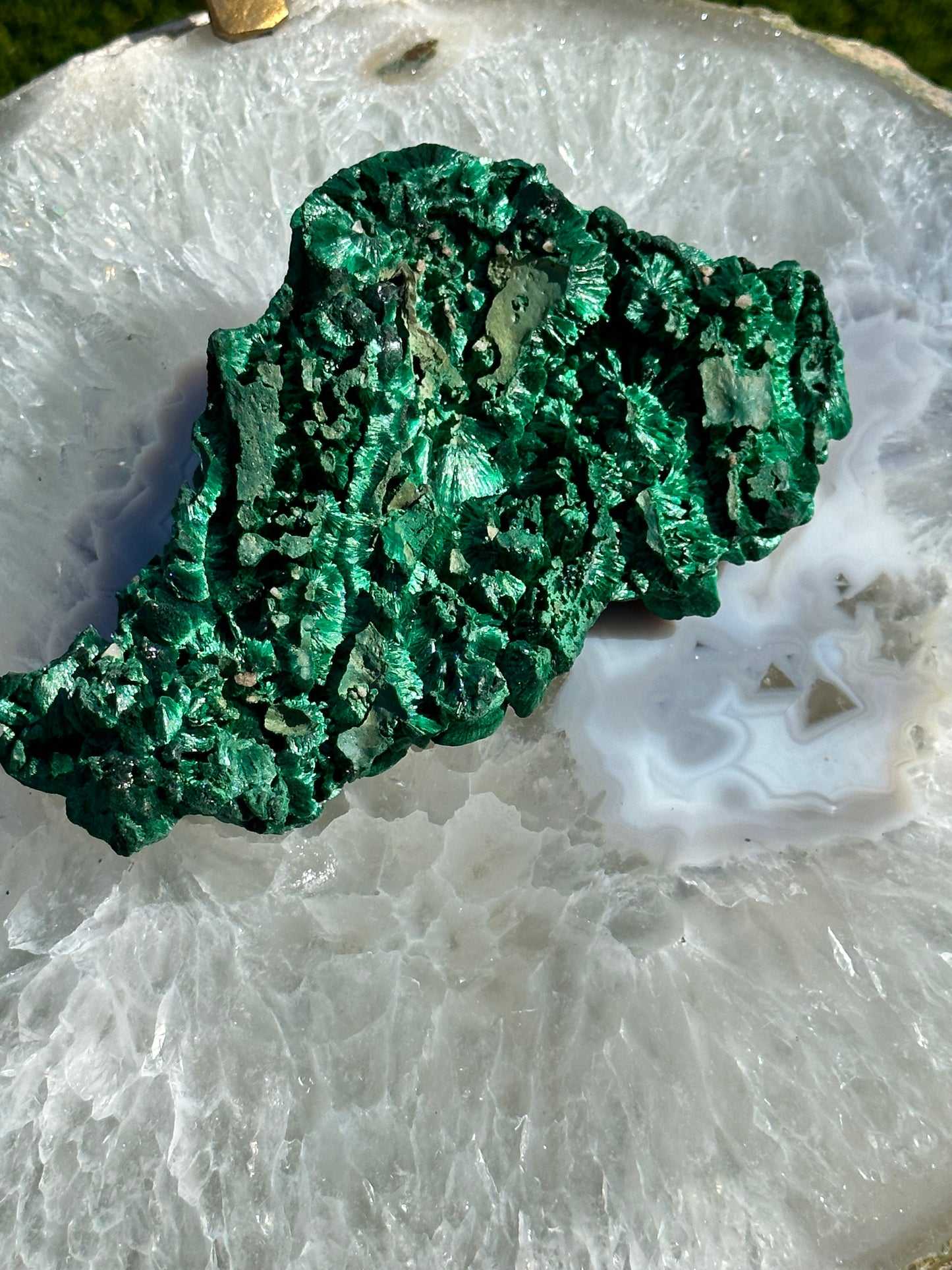 Botryoidal Velvet Malachite from the Congo